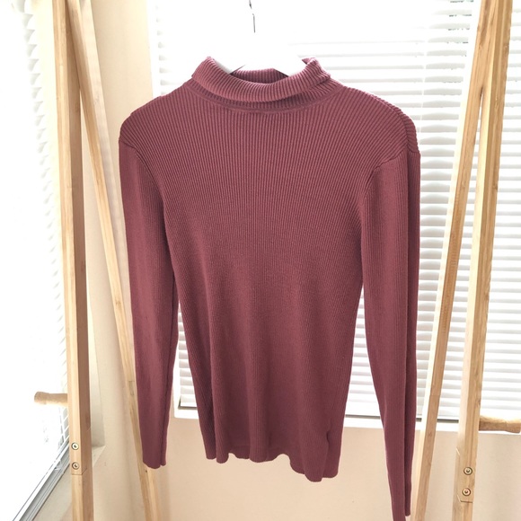 Express Sweaters - Express Turtleneck
